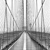 brooklyn362